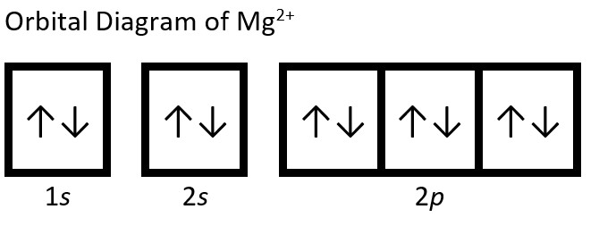 The orbital diagram of a magnesium two plus ion (Mg2+) is shown. The 1s, 2s, and 2p shells are completely filled with two electrons having opposite spins (illustrated by one arrow pointing up, one arrow pointing down) in each orbital.