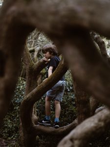 child climbing in a tree