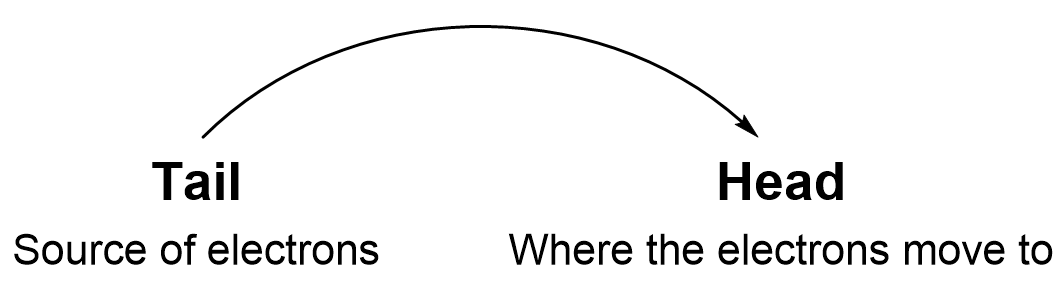 Curved horizontal arrow with the non-pointy end is labelled tail and the point part is labelled head. Tail is source of electrons and head is where the electrons move to.