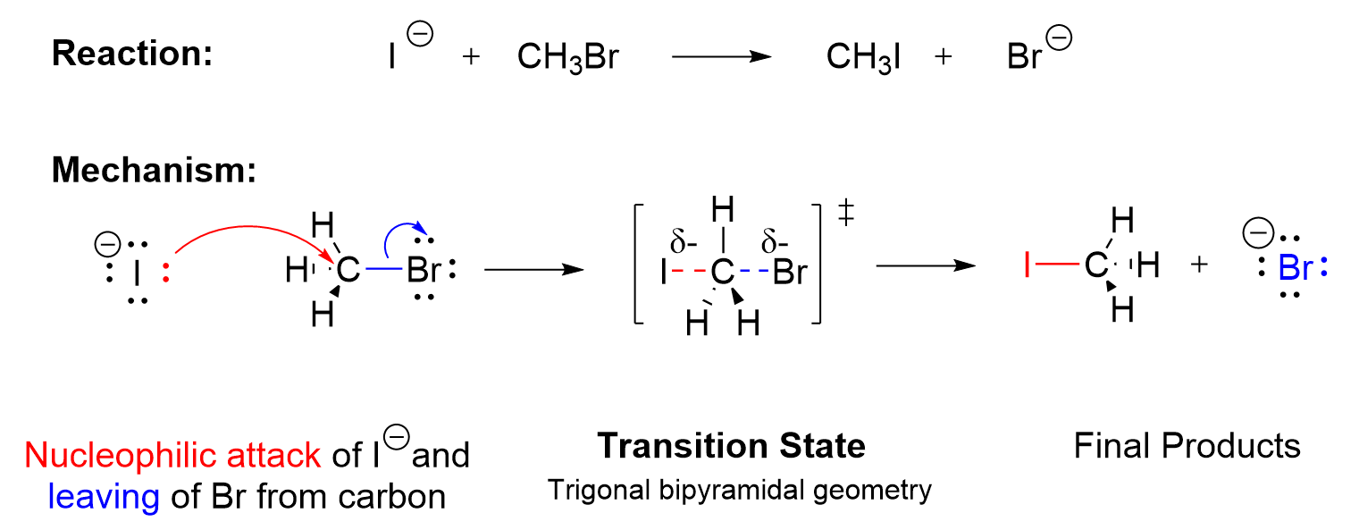 There are 2 parts to this figure. The first is a reaction: Iodide (I-) plus bromomethane, forms iodomethane plus bromide (Br-). Below that is the mechanism where the reagents are drawn out fully with bonds and line pairs. A lone pair on iodide attacks the carbon in bromomethane represented by a red curved arrow. Another curved arrow with the tail starting from the bond between C and Br points the head towards Br. This whole section is on the left side of a horizontal arrow and is labelled nucleophilic attack by iodide and leaving of Br from carbon. On the right of the arrow is the alkyl halide in square brackets with dotted lines connecting both halogens at the same time with delta negative symbols above both halogens. The label below is transition state, trigonal bipyramidal geometry. Another arrow to the right of the transition state is the final products iodomethane and bromide.