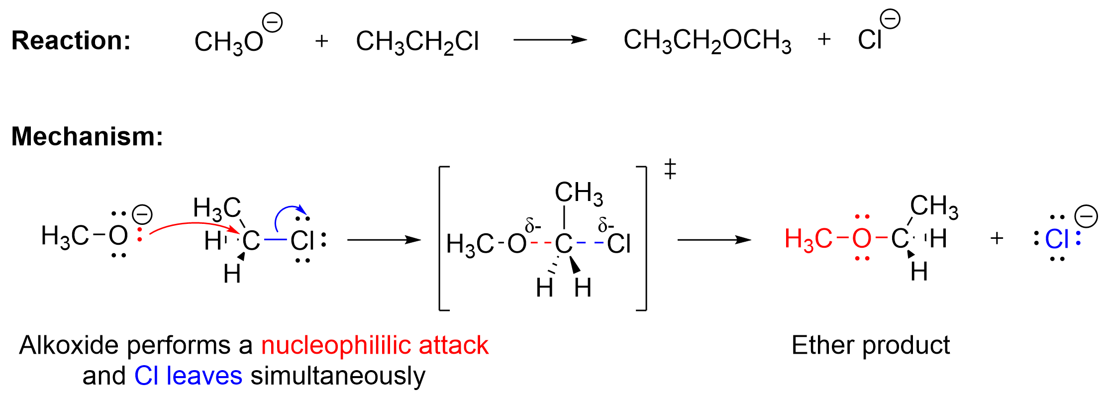 The reaction between methoxide (CH3O-) and ethylchloride (CH3CH2Cl) to form methoxy-ethane and chloride (Cl-). The mechanism shows a lone pair on the O of methoxide on the tail end of an arrow connecting via the arrowhead to C of the ethylchloride, specifically the carbon bonded to the Cl. A smaller curved arrow with its tail starting from the bond between C and Cl points its head towards the Cl. Below, it’s labelled “alkoxide performs a nucleophilic attack and Cl leaves simultaneously”. A horizontal arrow to the right shows the transition state in square brackets where the C is partially connected to the O of the methoxide and the Cl, both containing delta negative symbols above, represented with dotted lines as bonds. Another arrow to the right shows the final products: the ether product methoxy-ethane and a chloride (Cl-).