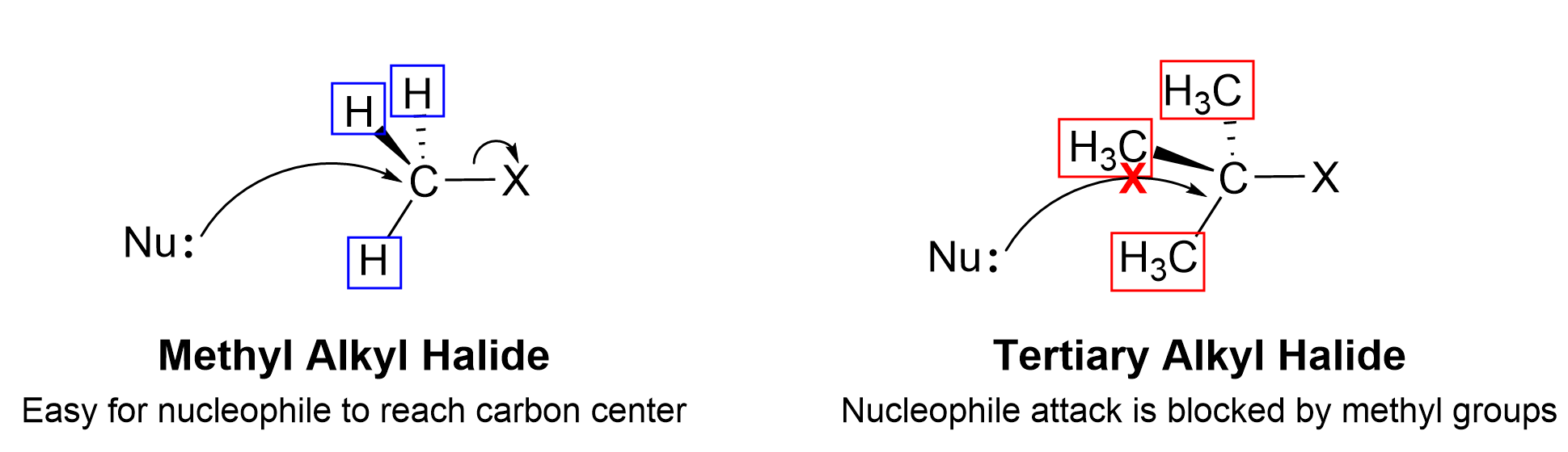 A C attached to a halide denoted as X, and 3 H’s, outlined with a blue box on each. A nucleophile (Nu) that has a lone pair shows the tail end of a curved arrow from the lone pair pointing its head to the C, and a smaller curved arrow’s tail from the bond between C and X pointing its head towards X. The label below is “Methyl alkyl halide” and the subtitle is “easy for nucleophile to reach carbon center”. On the right half is the same carbon compound but instead of H’s, it’s methyl groups outlined with a red box. The tail end of the curved arrow from the Nu pointing its head towards the carbon has a red cross/x with the label “tertiary alkyl halide” and the subtitle “nucleophile attack is blocked by methyl groups.
