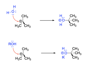 2 SN1 reactions’ second steps where a tertiary carbocation in a trigonal planar geometry has its central carbon attacked from H2O for the first reaction and ROH for the second reaction to form oxonium cation intermediates. There are 2 curved arrows where the tail end starts from the lone pairs on Oxygen for both water and alcohol, and the heads both point towards the positively charged carbon in the carbocation. Horizontal arrows to the right show the respective oxonium cations, oxygen bonded to the central carbon, and is also bonded to either 2 H, or R and H. The oxygen carries the positive charge.