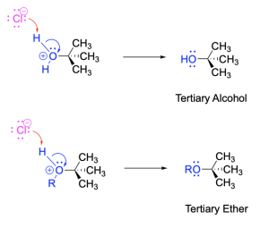 Based on the structures from 3.1.3.i, a chloride (Cl-) deprotonates the oxonium cations to generate a tertiary alcohol (deprotonation of the compound attacked by water) and a tertiary ether (deprotonation of the compound attacked by an alcohol). A red curved arrow has the tail end start at chloride have the heads pointing towards a Hydrogen bonded to the Oxygen.