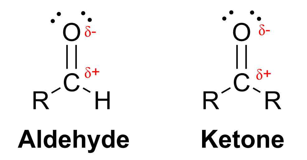 An aldehyde illustrated as a carbon double bonded to oxygen and single bonded to a R-group and H. A ketone is drawn similarly except it is bonded to 2 R groups instead of 1 R group and a H. The C directly bonded to the oxygen is the electron-deficient carbon center and is partially positive while the oxygen is partially negative.