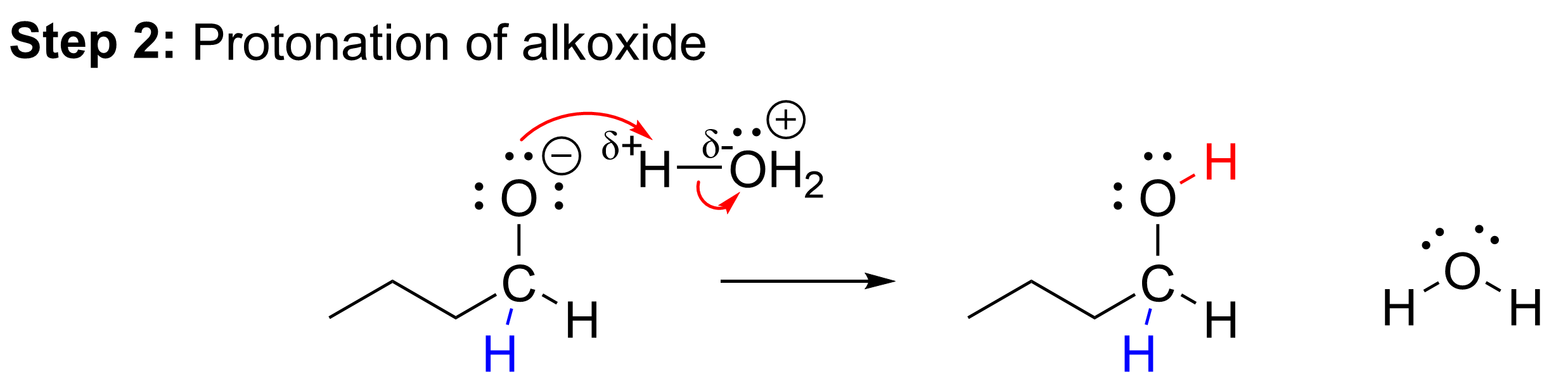 1-butoxide reacts with acid, H3O+, to form water and butan-1-ol.