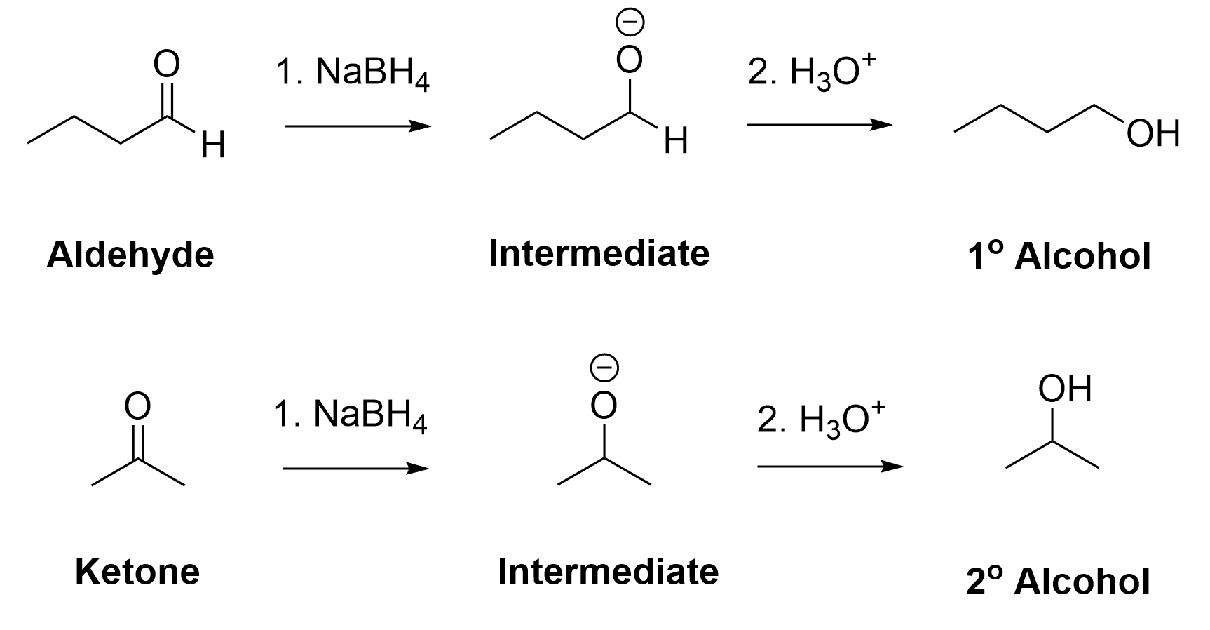 Aldehydes and ketones reacting with NaBH4 forming alkoxide intermediates, then reacting with acid such as H3O+ to form primary and secondary alcohols respectively.