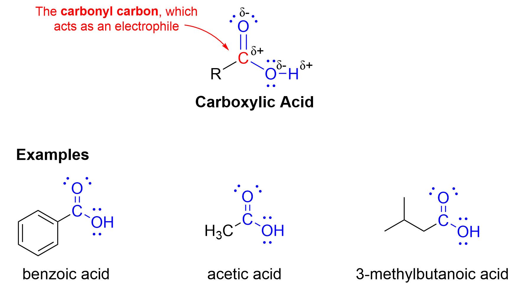 A carboxylic acid, similar in structure to an aldehyde, contains a central/carbonyl carbon bonded to an R-group, double bonded to an oxygen, and is also bonded to a OH group. The carbonyl carbon is the electrophile, and some examples of carboxylic acids are benzoic acid where the R group is a benzene, and acetic acid where the R group is a methyl.