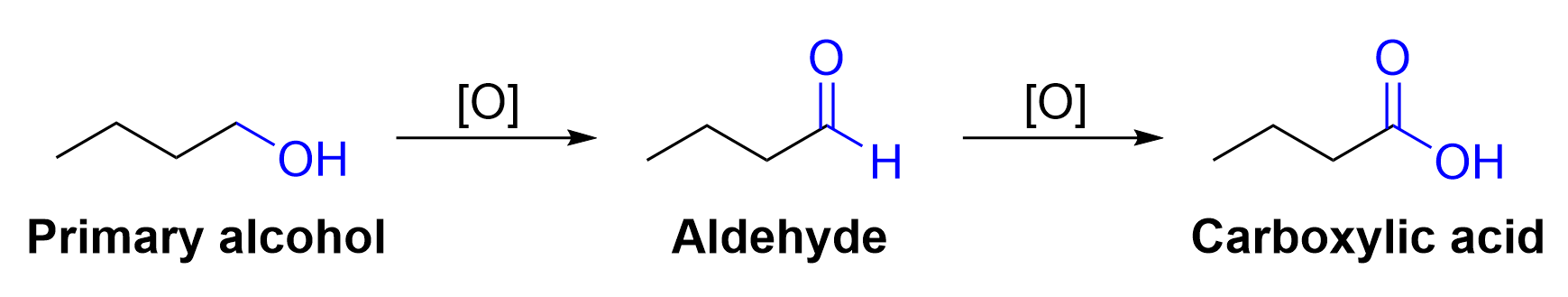 A primary alcohol undergoes oxidation, represented as [O] above the reaction arrow, to form an aldehyde. The aldehyde goes through a second oxidation and forms a carboxylic acid. In this example, butanol turns into butanal and then butanoic acid.