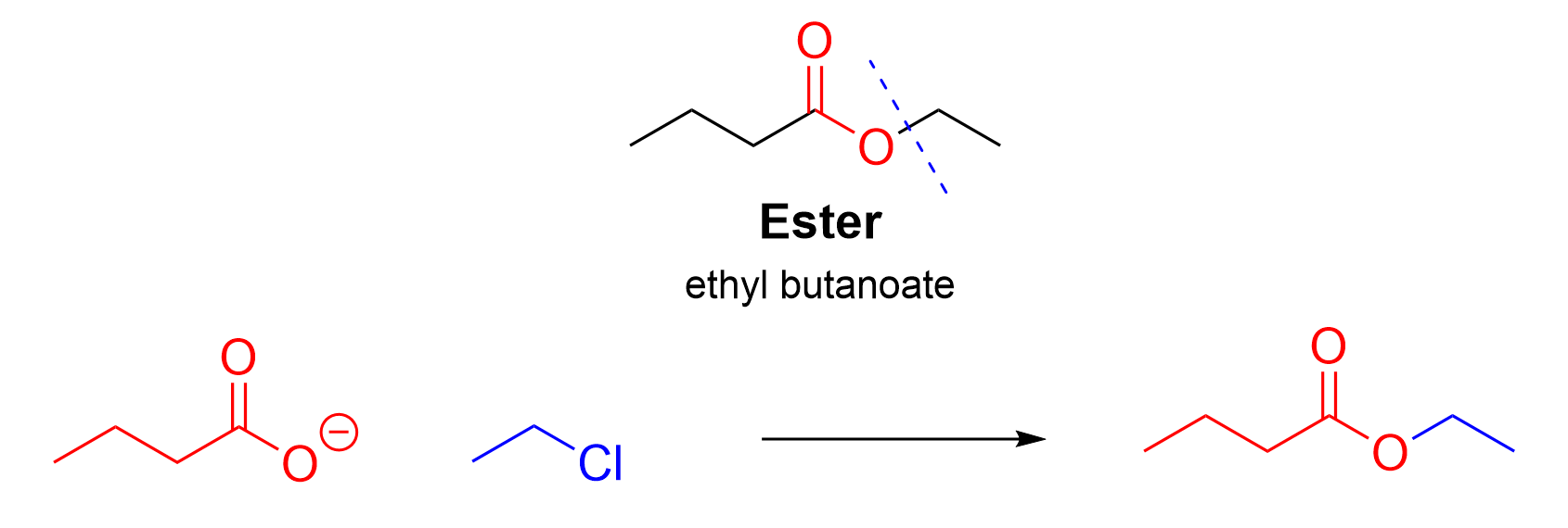 By cutting at the ester portion of ethyl butanoate, you can determine that a butyl carboxylate and ethyl halide (such as ethyl chloride) are needed to form the SN2 product ethyl butanoate.