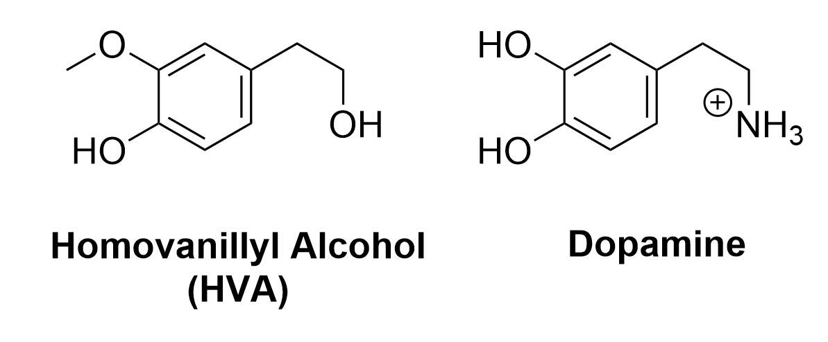 Line-bond drawings of homovanillyl alcohol (HVA) and dopamine. Both molecules how a central six-membered ring of carbon atoms with alternating single and double bonds. In HVA, clockwise from the top of the six-membered ring, there are the following substituents: at carbon #2 there is a ethylhydroxy group (CH2CH2OH); at carbon #5 there is a hydroxyl group (OH); at carbon #6 there is a methoxy group (OCH3). In dopamine, clockwise from the top of the six-membered ring, there are the following substituents: at carbon #2 there is an ethylammonium group (CH2CH2NH3+); at carbon #5 and carbon #6, there are hydroxyl groups (OH).