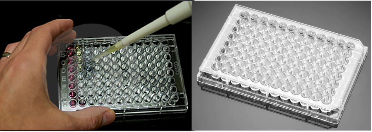 A 96-well plate with a micropipette dispensing liquid into a well.