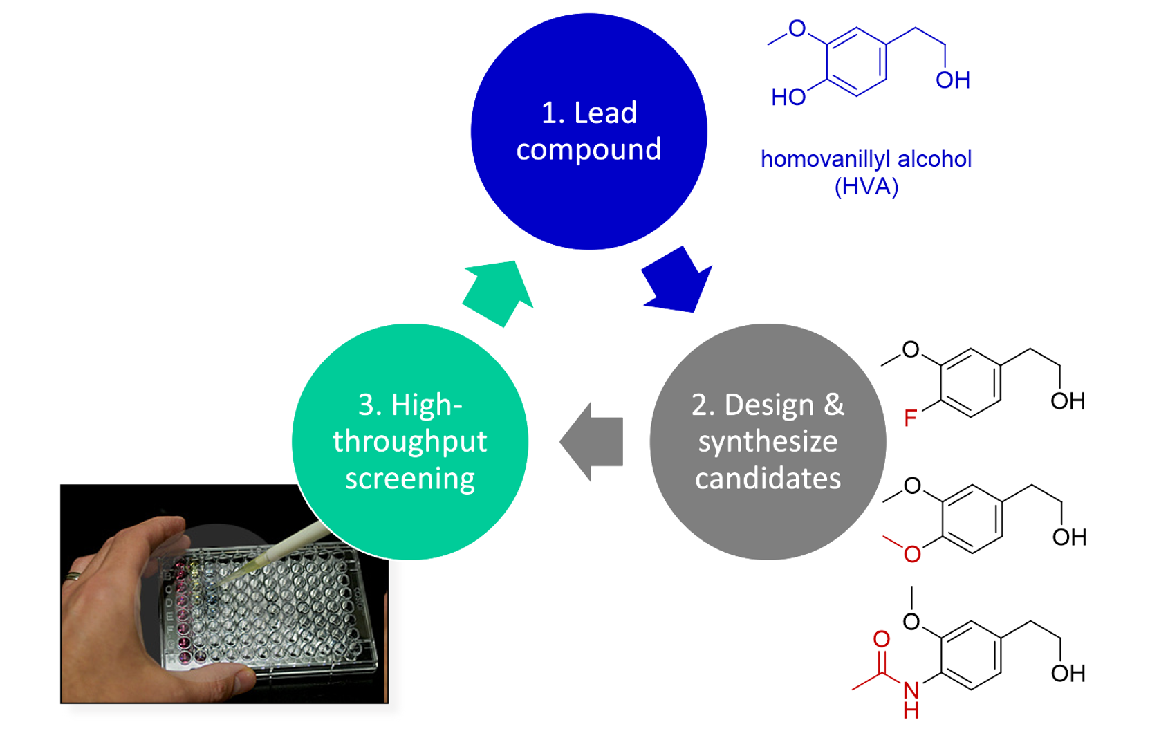 A flow chart depicting three steps: 1. Lead compound; 2. Design and synthesize candidates; 3. High-throughput screening. There are images next to each step depicting the chemicals or processes involved.