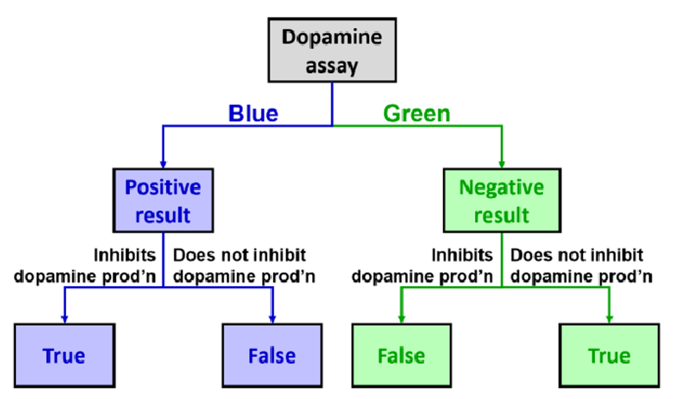 A flowchart for the dopamine assay. At the top, the dopamine assay splits into two sections. The left side is shown in blue, pointing to a positive result, while the right side is shown in green, pointing to a negative result. On the left, the positive result splits into two sections: inhibits dopamine production points to true, while does not inhibit dopamine production points to false. On the right, the negative result splits into two sections: inhibits dopamine production points to false, while does not inhibit dopamine production points to true.