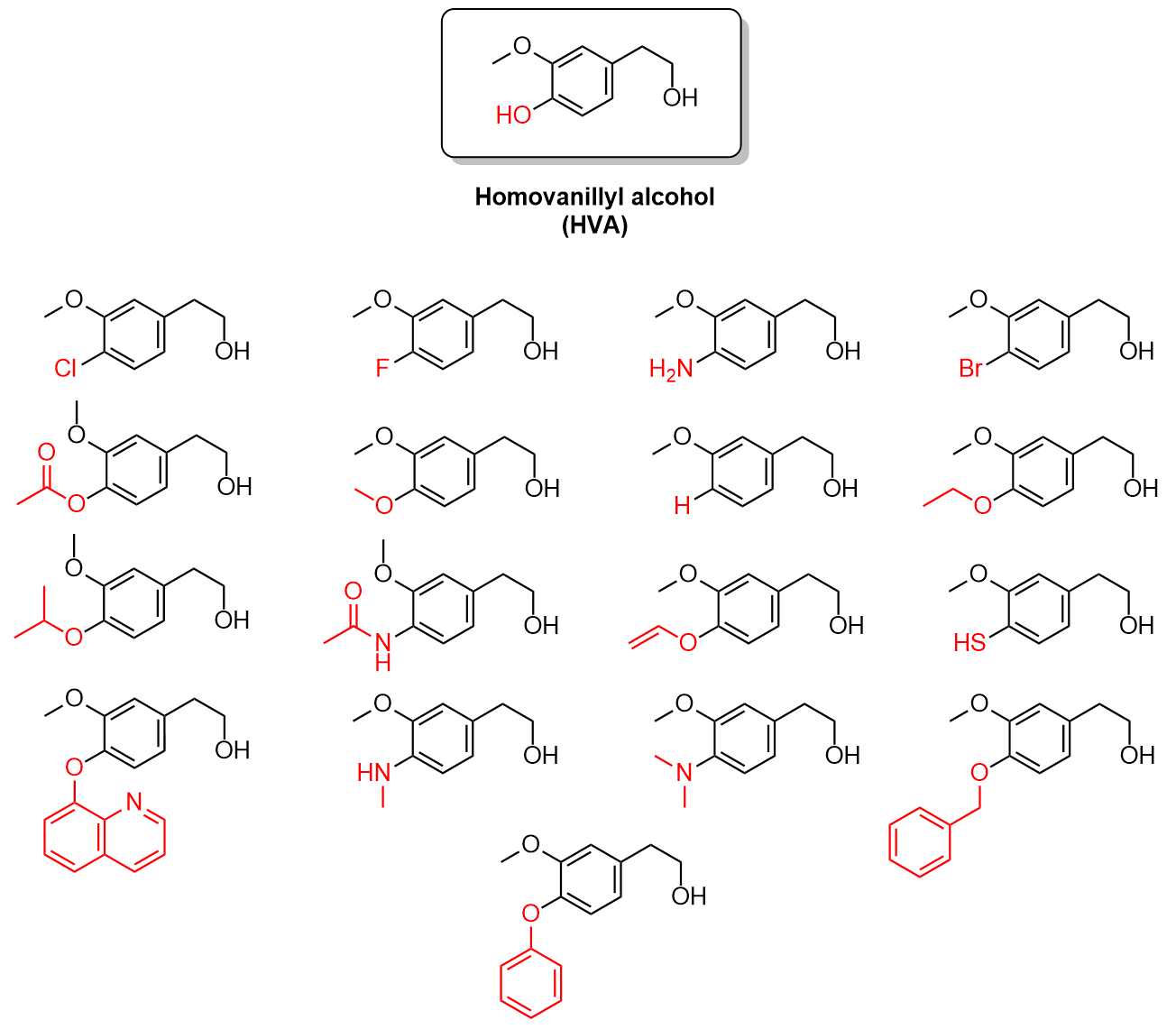 18 line-bond drawings of compounds similar or identical to homovanillyl alcohol. The structure of homovanillyl alcohol is shown at the top, as described in Figure 4.4.a, with the hydroxy group (OH) at the bottom left of the molecule highlighted in red. The other 17 line-bond drawings show variations of this structure, in which the red hydroxy group is replaced by a variety of possible functional groups such as halogens, amines, amides, esters, ethers, and thiols.