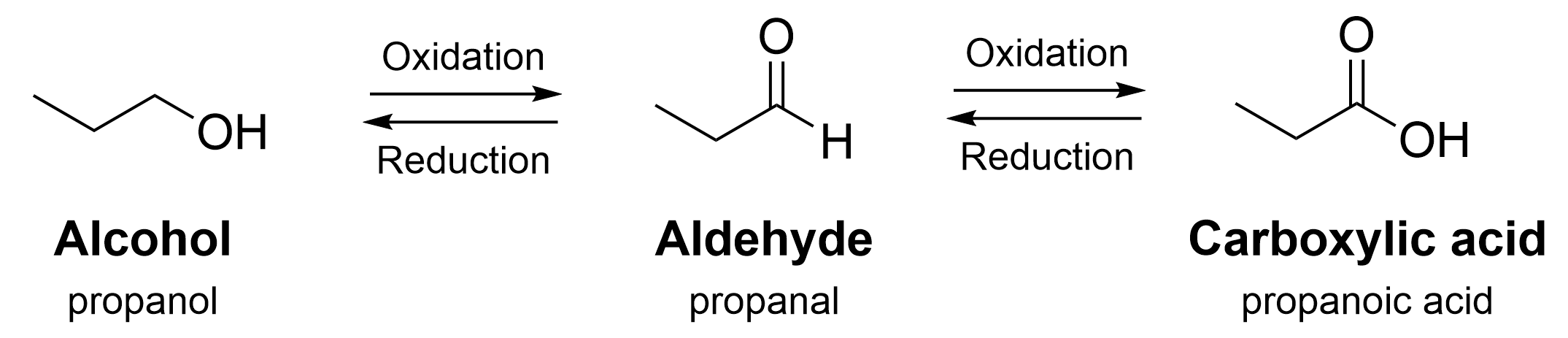 An alcohol (propanol in this example) can be oxidized to an aldehyde (propanal). The aldehyde can be reduced back to an alcohol, or it can be oxidized further into a carboxylic acid (propanoic acid). A carboxylic acid can be reduced to an aldehyde.