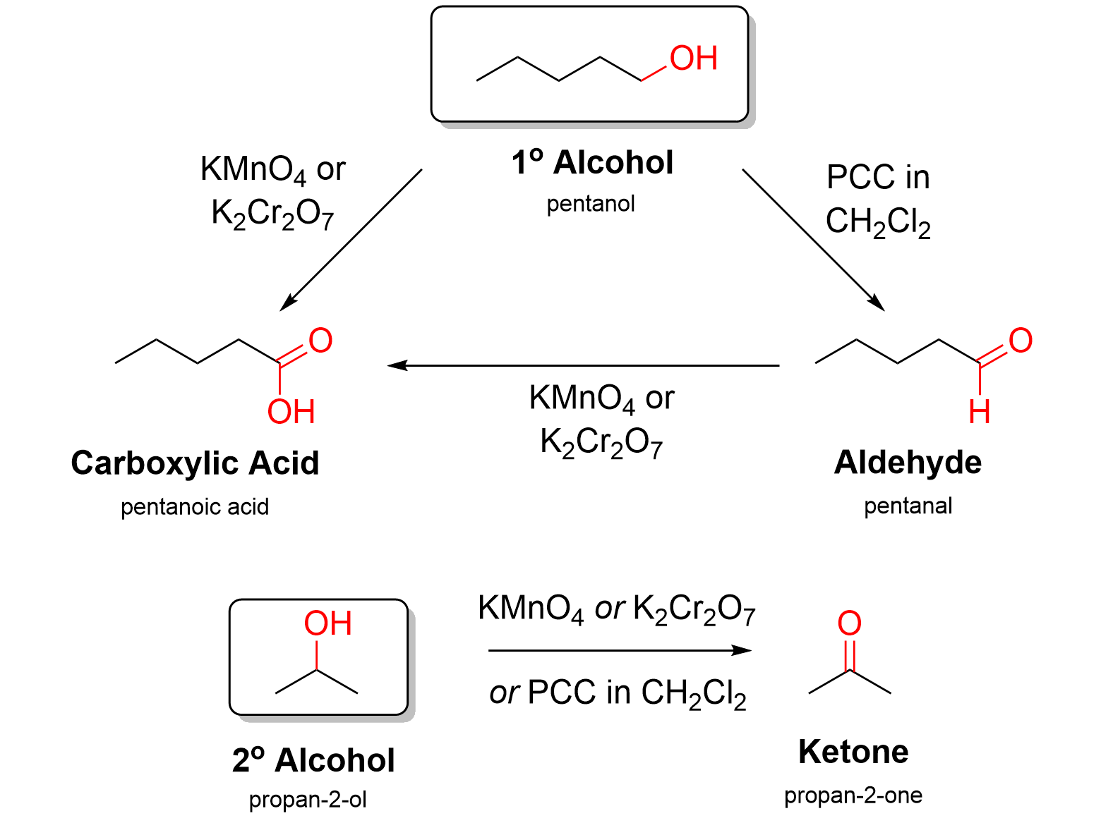 Pentanol with various reagents reacting in a scheme to form different products, oxidizing to pentanal and pentanoic acid. Propan-2-ol oxidizes similarly.