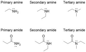 An image showing the distinction between primary, secondary and tertiary amides.