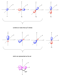 Nine pictures of orbitals in 3D using the x,y,z-coordinate axes. The top part of the diagram is identical to figure 2.2.g. A curly bracket joins three of these orbitals (one s and two p orbitals) and is labelled “combine to make three sp2 orbitals”. The middle part of the diagram shows three sp2 hybrid orbitals shaped as hourglasses, with one half larger than the other. There is also a fourth unhybridized p orbital, shaped as an hourglass with equal sized halves. A curly bracket joins the three sp2 hybrid orbitals and is labelled “which are represented as the set” denoting the bottom part of the diagram. The bottom part shows three sp2 hybrid orbitals drawn together, with only the larger part of the hourglass depicted as a teardrop-shape. The three orbitals point to the corners of an equilateral triangle.