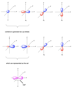 Nine pictures of orbitals in 3D using the x,y,z-coordinate axes. The top part of the diagram is identical to figure 2.2.g. A curly bracket joins two of these orbitals (one s and one p) and is labelled “combine to generate two sp orbitals”. The middle part of the diagram shows two sp hybrid orbitals shaped as hourglasses, with one half larger than the other. There are also two unhybridized p orbitals, each shaped as an hourglass with equal sized halves. A curly bracket joins the two sp hybrid orbitals and is labelled “which are represented as the set” denoting the bottom part of the diagram. The bottom part shows two sp hybrid orbitals drawn together, with only the larger part of the hourglass depicted as a teardrop-shape. The two orbitals point along a straight line with a 180o angle.