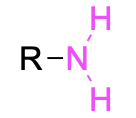 An “R-N-H2”, with the N-H2 in pink.