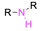 An “R-NH-R”, with the NH in pink.