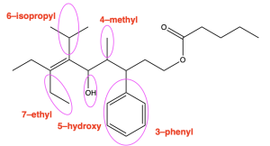 The previously depicted molecule with, from left to right, 7-ethyl, 6-isopropyl, 5-hydroxy, 4-methyl and 3-phenyl circled and labelled as branches from the main chain.
