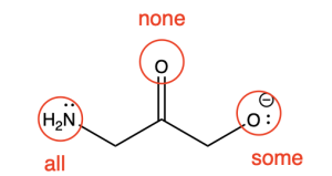 A molecule with a primary amine group (NH2) on the left, a ketone (C=O) in the middle, and an alkoxide (O–) on the right. The primary amine shows a nitrogen with one pair of electrons, and is labelled “all”, referring to all lone pair of electrons being shown on nitrogen. The ketone shows the oxygen with no lone pairs, and is labelled “none”, referring to no lone pairs of electrons being shown on oxygen. The alkoxide on the right shows an oxygen with one lone pair of electrons, and is labelled “some”, referring to some of the lone pairs of electrons being shown on oxygen.