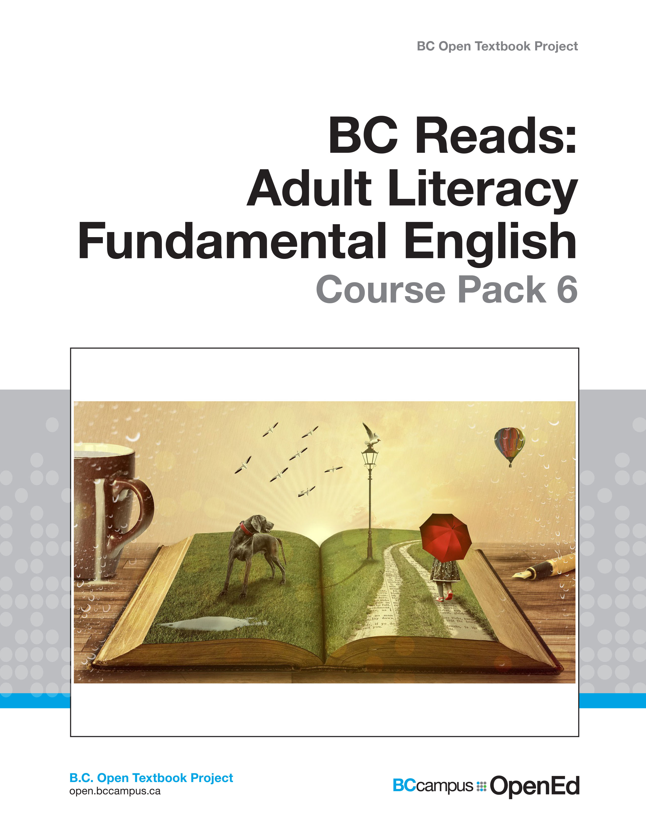 Cover image for Adult Literacy Fundamental English - Course Pack 6