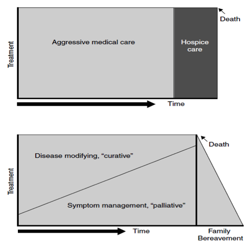 Figure 4.1 Models of Care (re-printed with permission from Lynn & Adamson, 2003 from RAND Corporation, Santa Monica CA).