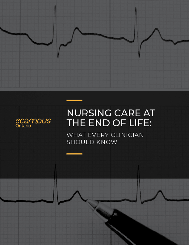 Cover image for Nursing Care at the End of Life