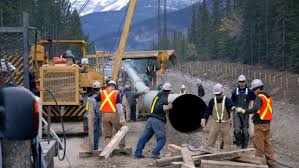 A dozen construction workers laying pipe along a gravel road.