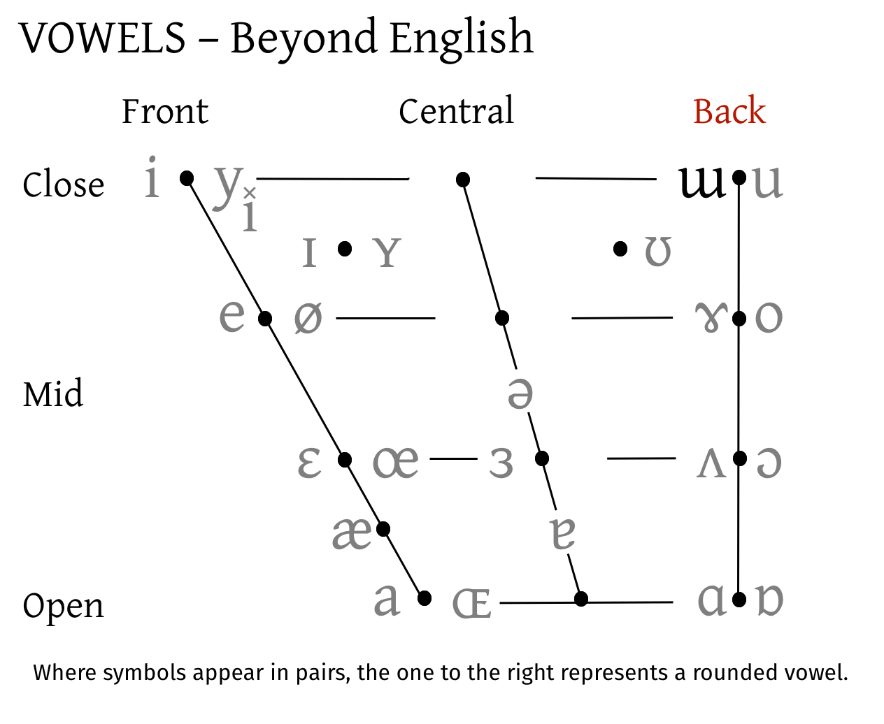 The Vowel Quadrilateral showing the new Back Rounded Vowel [ɯ].