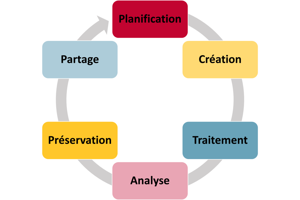 Une image du cycle de vie des données de recherche qui illustre la séquence Planifier, Recueillir, Traiter, Analyser, Préserver et Partager. L’étape Partager revient à celle de Planifier, démontrant que d’autres chercheuses et chercheurs peuvent utiliser les données partagées pour recommencer le cycle.