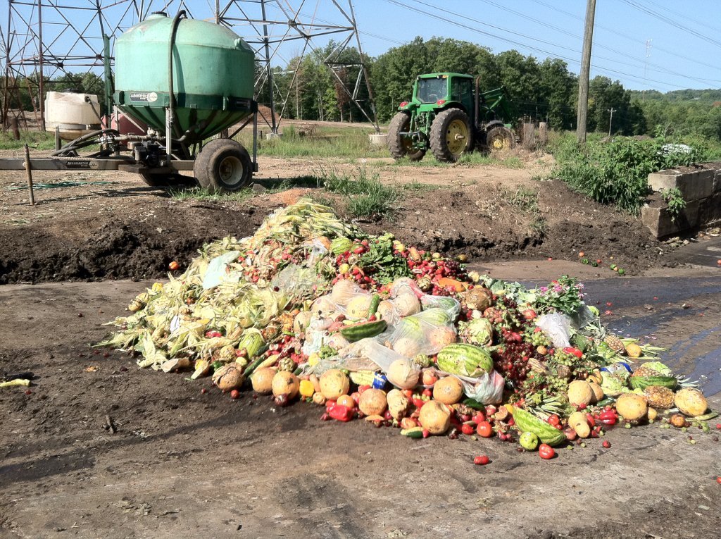 Food waste in farm-level.