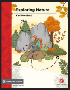 A book cover with a woman sitting on a rock in nature