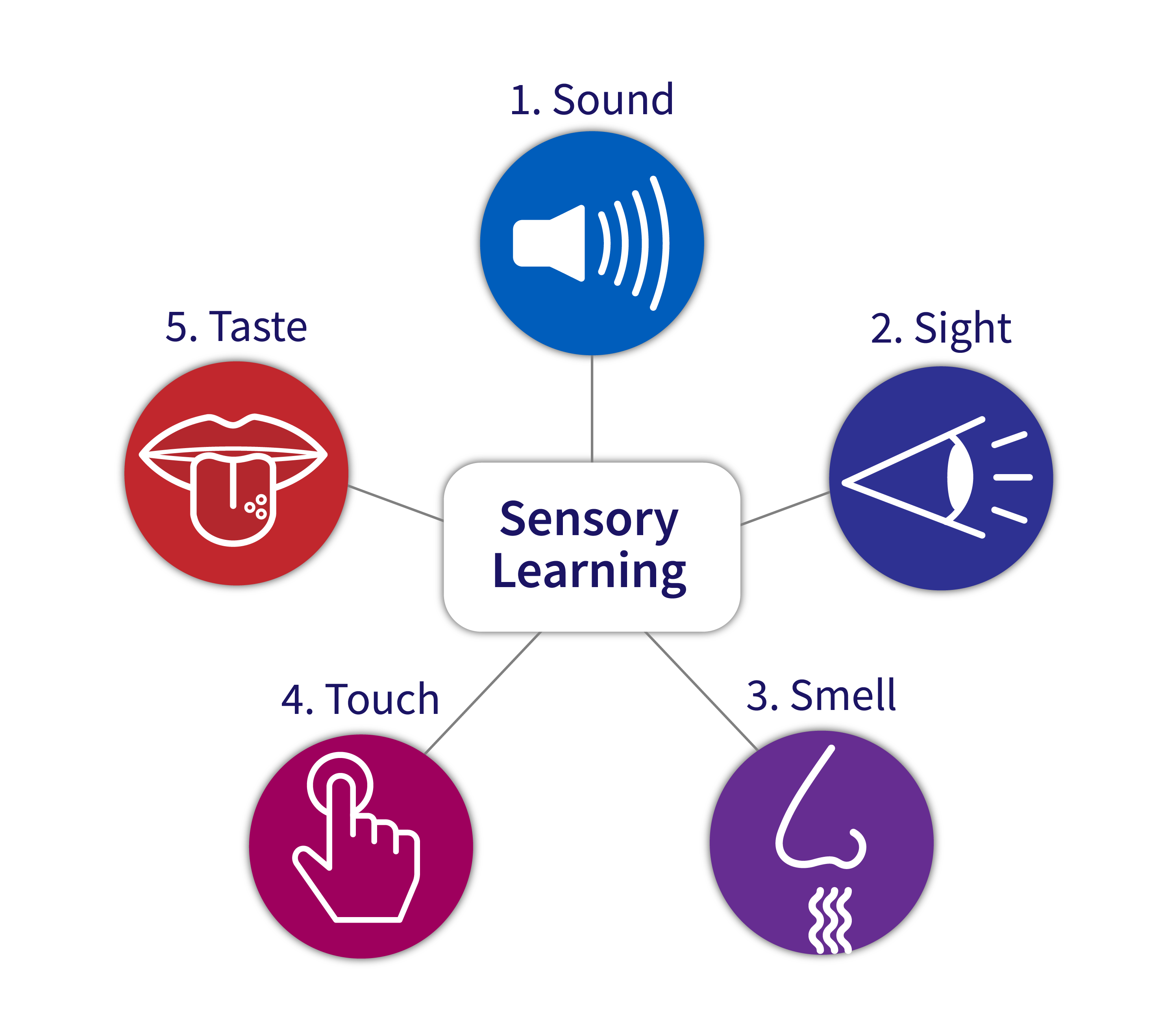 sensory learning: sound, sight, smell, touch, taste
