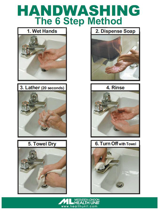 Handwashing Steps. Step 1, wet hands. Step 2, soap. Step 3, lather. Step 4, rinse. Step 5, dry. Step 6 turn off.