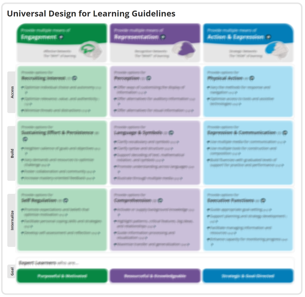 Thumbnail for The UDl Guidelines.
