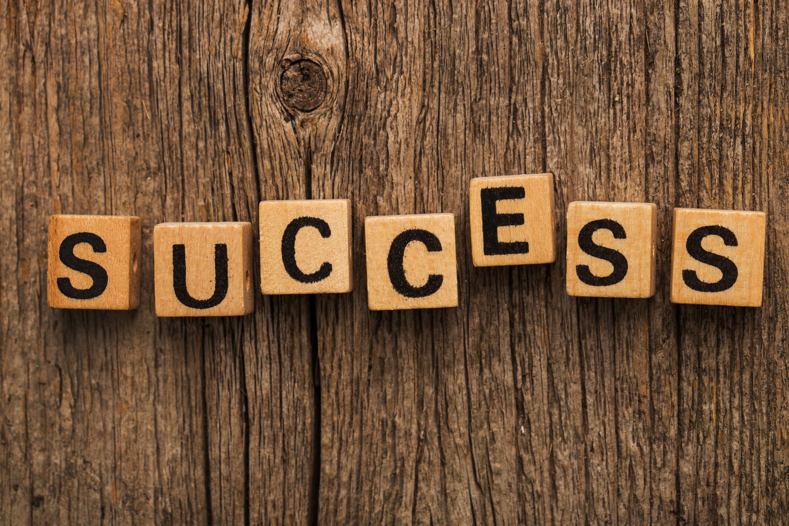 Success is spelled with toy bricks on the wooden table