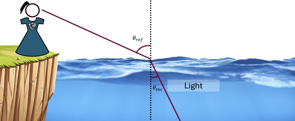 The path light takes to reach Physics Girl's eyes.