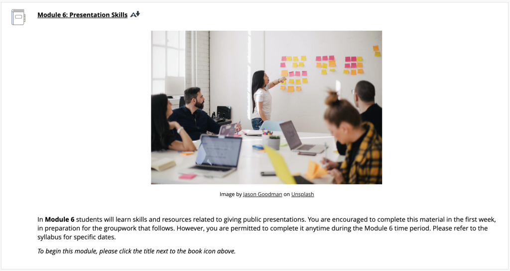 Screenshot of the Module 6 landing page in the Blackboard course