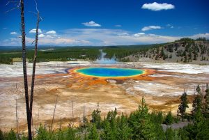 Grand Prismatic Spring in Yellowstone National Park. This unique, multi-coloured lake is at center foreground in this expansive view of Yellowstone National Park.