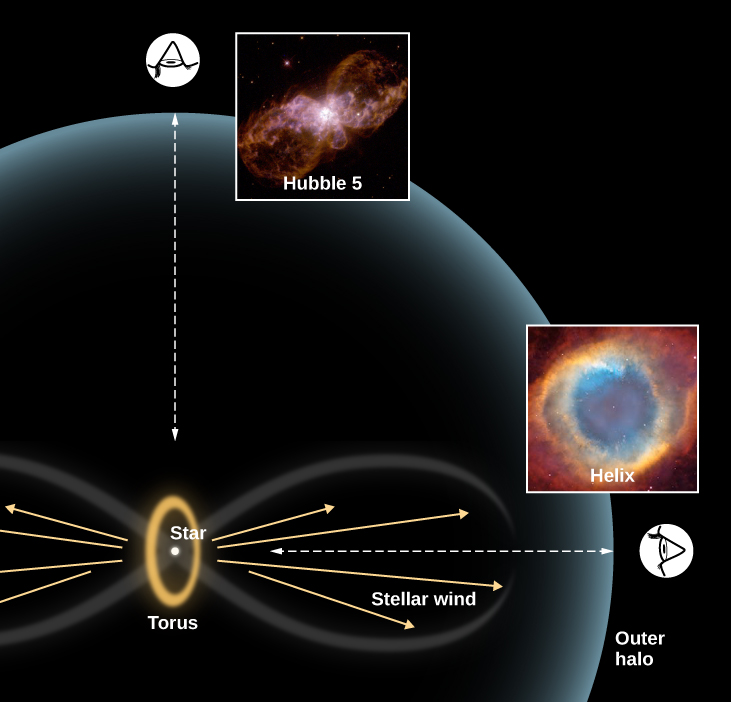 Diagram to Explain the Different Shapes of Planetary Nebulae. In the lower left-hand portion of this figure, a schematic representation of a planetary nebula is shown. A yellow ellipse, labelled “Torus” is drawn with a white dot labelled “Star” at its center. The long axis of the ellipse is oriented vertically. Several yellow arrows are drawn horizontally pointing away from the star. These are labelled “Stellar wind.” A faint figure-eight encloses the stellar wind on each side of the star and torus. Finally, a large, faint “Outer halo” surrounds the figure-eight and torus, centered on the star. At top left, directly above the star, the profile of a human eye is shown looking in the direction of the star. The line of sight is marked with a double-headed dashed arrow. What a planetary nebula would look like along this line of sight is illustrated with an image of Hubble 5 to the right of the eye. Another eye is drawn at lower right looking through the figure-eight toward the star. The line of sight is marked with a double-headed dashed arrow. What a planetary nebula would look like along this line of sight is illustrated with an image of the Helix Nebula above the eye.