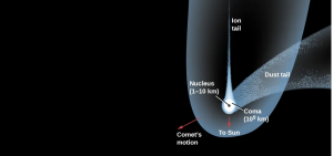 Diagram of a Typical Comet. Just below left of center, the “Nucleus (1-10 km)” is drawn as a black dot. Surrounding the nucleus is the “Coma (105 km)”, drawn in white. Surrounding the coma and extending vertically to the top of the image is the thin “Ion tail”, drawn in white. Beginning at the coma and curving away to the right is the wide “Dust tail”, drawn in semi-transparent white. Surrounding the comet and extending in the same direction as the ion tail is the “Hydrogen envelope (107 km)”, drawn in semi-transparent white. A red arrow points downward from the nucleus labelled “To Sun”. Finally, a red arrow points from the nucleus toward the lower left (opposite to the direction of the dust tail) and is labelled “Comet’s motion”.