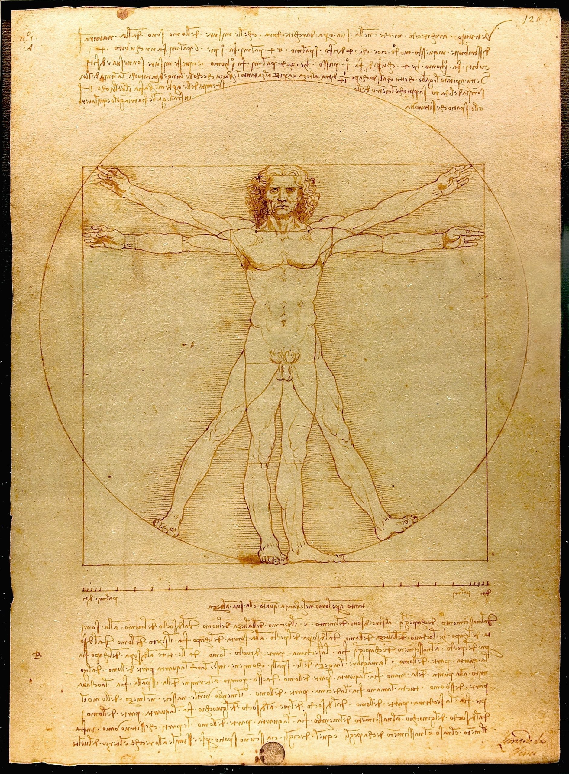 The Viturvian Man