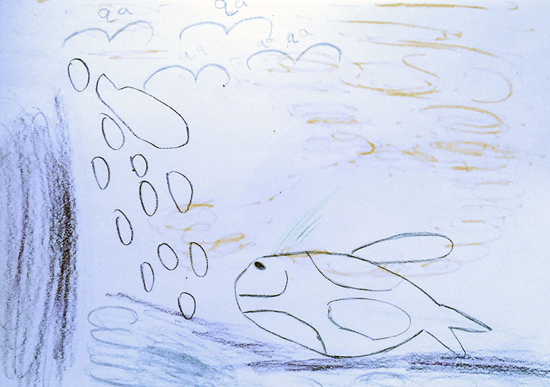 A child's drawing of fish