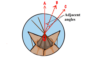 Drawing of the top of a tepee representing the term "adjacent angles."