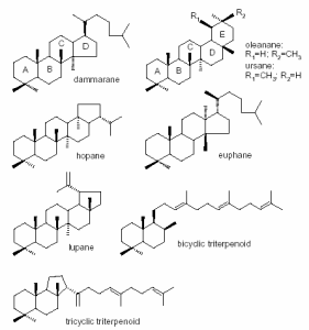 Molecular structures of triterpenoids (dammarane, oleanane, hopane, euphane, lupane, bicyclic triterpenoid, tricyclic triterpenoid) occurring in dammar and mastic.