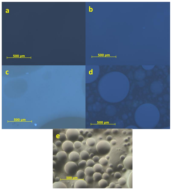 Optical microscopy images of a dual solvent system. Images show fluorescence of adhesives and topographical separation of the blend. See text below the caption for textual description.